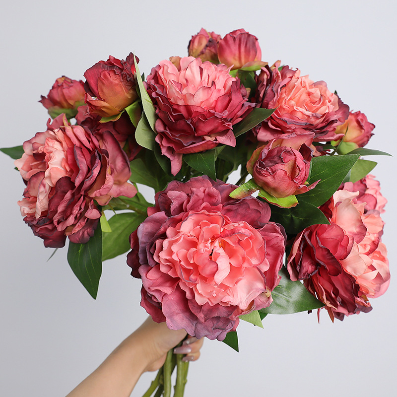 Photography Artificial Lighting - 1 Buah Bunga Peony Retro 2