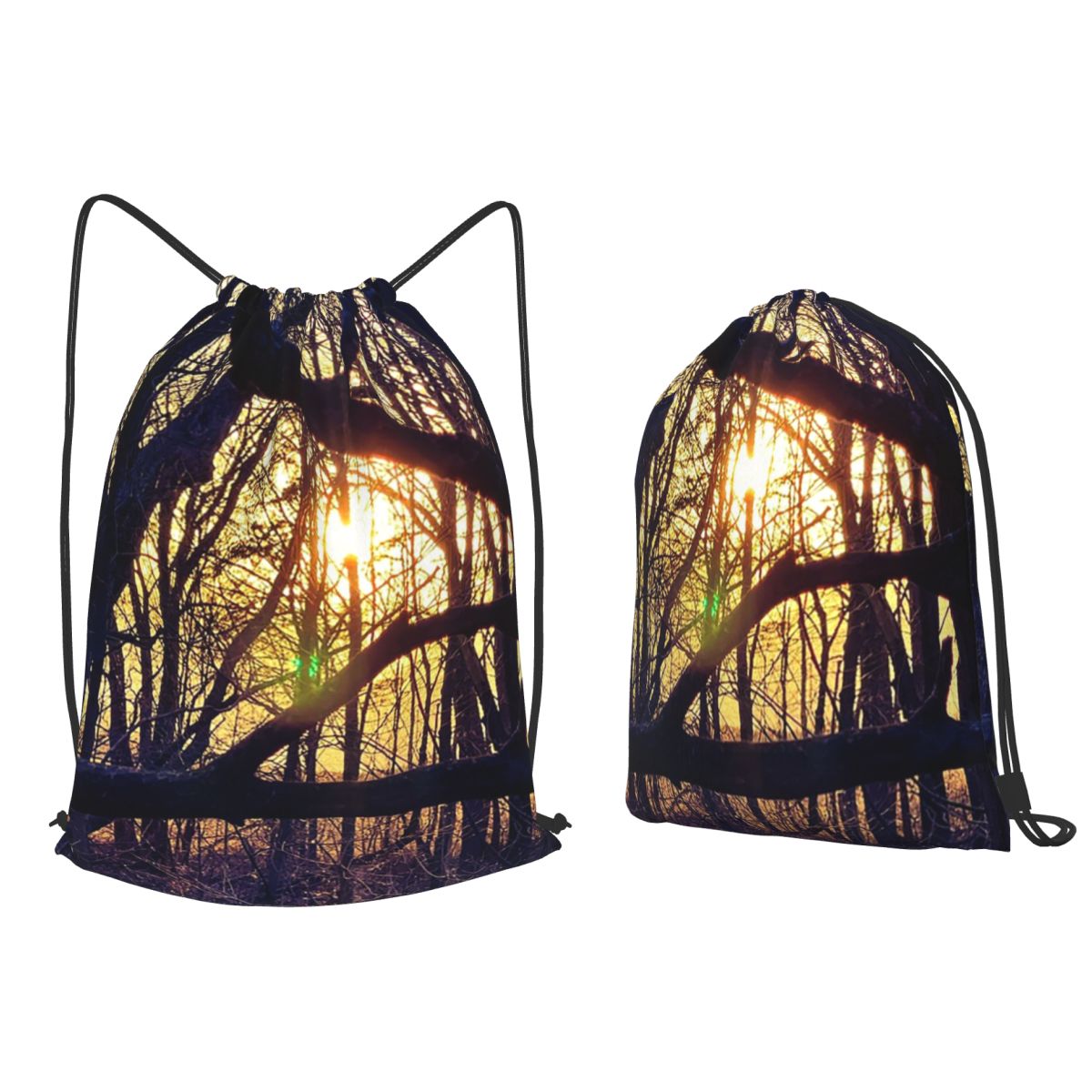 Lighting In Photography Book - Ransel Fotografi Alam Cahaya Hutan Saat