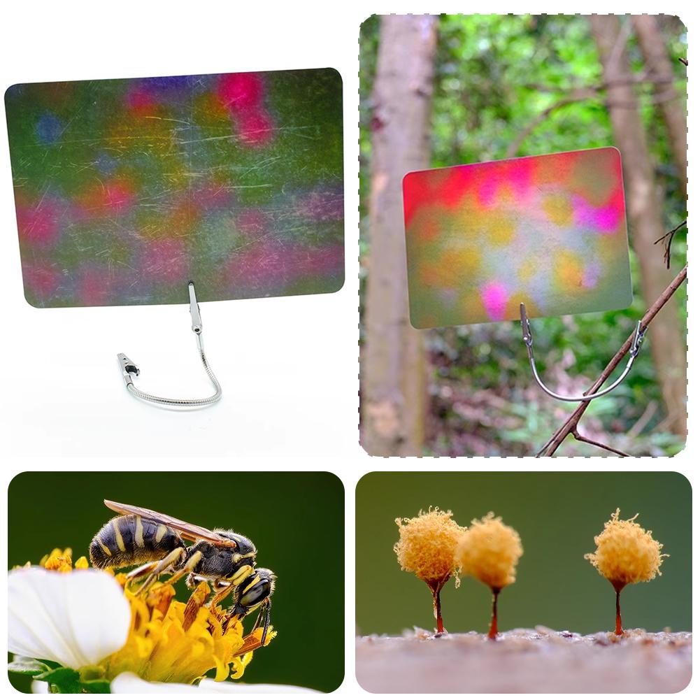 Kartu Latar Belakang Fotografi - Photography Lighting Material ulasan dan harga