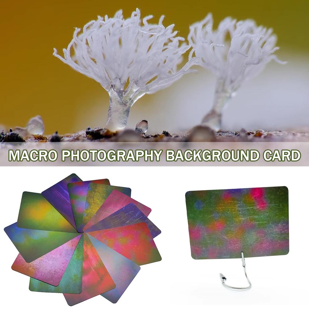 Kartu Latar Belakang Fotografi - Photography Lighting Material ulasan dan harga