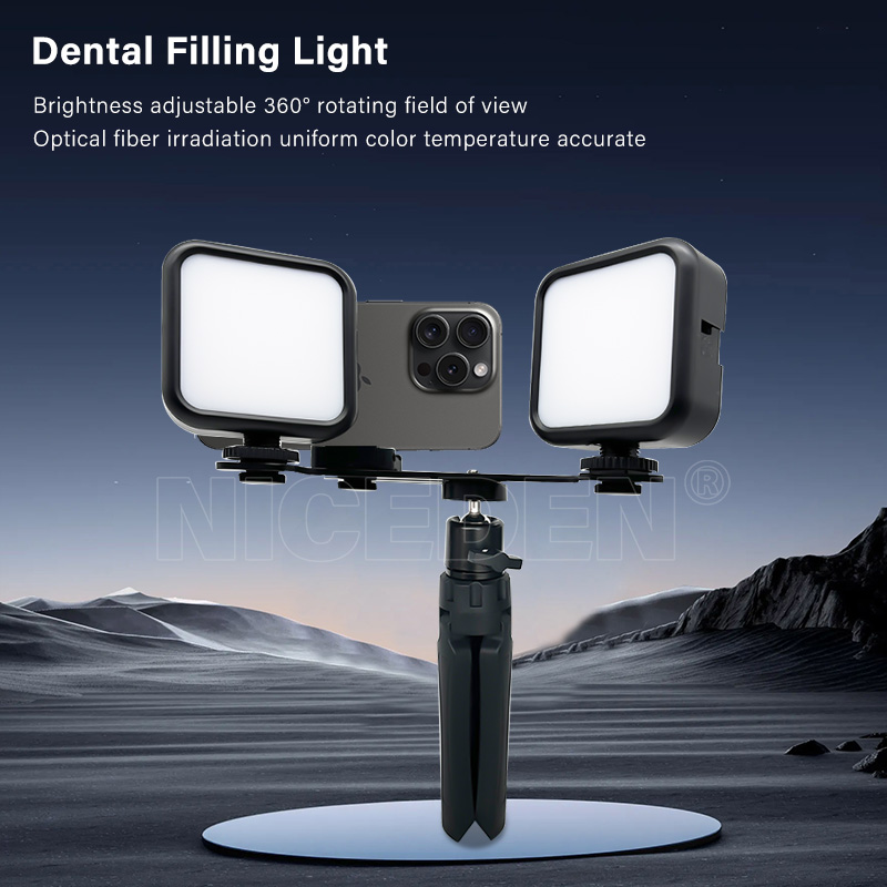 Peralatan Fotografi Lampu Flas - Photography Lighting With Flash ulasan dan harga